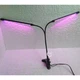 Фитолампа для растений двойная LED 10Вт с синим и красным светом, настольная светодиодная лампа на 2 ветки с таймером, клипсой-зажимом и USB питанием для подсветки рассады, комнатных и тепличных растений Черная F00-T77 - изображение 2