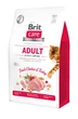 Корм Brit Care Cat Grain Free Adult Activity Support сухой беззерновой для взрослых котов живущих на улице 0.4 кг - изображение 1