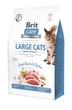 Корм Brit Care Cat Grain Free Large Cats Power & Vitality сухий з качкою та куркою для котів великих порід 2.0 кг - зображення 1