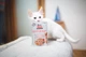 Корм Brit Care Cat Fillets In Gravy Turkey and Salmon вологий з індичкою та лососем для дорослих котів 85 гр - зображення 3
