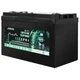 Акумулятор EverExceed LDP 12-100 (12.8V100Ah) LiFePO4 - зображення 1
