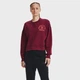 Кофта женские Under Armour Prjct Rock Fleece S Красный 1370546-626 - изображение 1