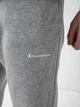 Спортивные штаны утепленные мужские Comfort Fit XXL Champion (12345826) - изображение 3