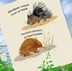 Знакомьтесь. Комплект из 4 книг - Мария Жученко (4820000074803) - изображение 2