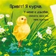 Знакомьтесь. Комплект из 4 книг - Мария Жученко (4820000074803) - изображение 5