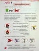 Українська мова та читання 2 клас Слово до слова буде розмова Зошит з розвитку мовлення Кравцова ПіП - изображение 5