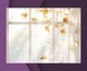 Виниловый фотофон 60x90см, Frontlit 450 г/м2, стена + пол №57251 - изображение 3