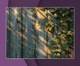 Виниловый фотофон 80x120см, Frontlit 450 г/м2, стена + пол №57172 - изображение 3