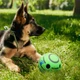 Интерактивный хихикающий мяч с пищалкой внутри Wobble Wag Giggle UKC (WH-85) Green - изображение 7