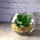 Ваза для цветов Pasabahce Flora 102 мм (43417) - изображение 5