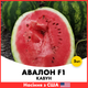 Арбуз Innova Seeds Авалон F1, 5 шт - изображение 1