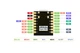 Плата разработки ESP32 SuperMini, плата разработки WiFi Bluetooth, 5В, припаянные контакты - изображение 4