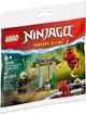 Конструктор Lego Ninjago Битва за Храм Кая и Раптона 30650 - изображение 1