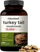 Грибна добавка преміум-класу для здоров'я імунітету та мозку NatureBell Turkey Tail Mushroom 240 капсул - зображення 1