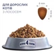 Корм сухий Club 4 Paws для котів з лососем 300 г (4820083909221) - зображення 2