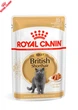 Консерва кош Royal 85гр British shorthair adult 2032001 - изображение 1