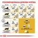 Повнораціонний сухий корм Royal Canin Maine Coon Adult для дорослих котів породи мейн-кун віком від 15 місяців, 2 кг, 2550020 - зображення 3