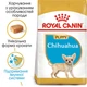 Повнораціонний сухий корм Royal Canin Chihuahua Puppy №28 для цуценят породи чихуахуа віком від 2 до 8 місяців, 500 г, 24380051 - изображение 3