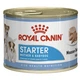 Консерва для собак Royal 195г Starter Mousse - зображення 1