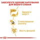 Консерва для собак Royal 195г Starter Mousse 4077002 - изображение 4
