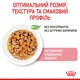 Консерва кош Royal 85гр Kitten JELLY - изображение 2