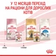 Консерва кош Royal 85гр Kitten JELLY - изображение 6