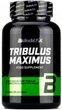 Тестостероновые бустеры BioTech Tribulus Maximus 1500 мг 90 таблеток - изображение 1