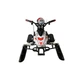 Електроснігокат Crosser S-1 (800 ВТ, 48V 20AH АКБ) - Чорний - изображение 5