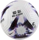 Футбольный мяч Nike Academy Premier League FB2985-104 (размер 5) - изображение 2