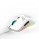Мышь беспроводная HYSJ Т66 с аккумулятором и подсветкой 2,4G White - изображение 6