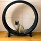 Беговое колесо для котов CutePet R01 XXL для средних и крупных пород кошек Цвет Черный - изображение 2