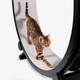 Беговое колесо для котов CutePet R01 XXL для средних и крупных пород кошек Цвет Черный - изображение 4