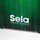 Кахон Sela Varios Bundle Green SE 131 EN - изображение 7