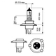 Лампа Philips H4 CityVision Moto 12V 60/55W P43t-38 (12342CTVBW) (627619) - изображение 2