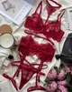 Комплект жіночої білизни з прозорого мережива SM2120/5gg Simply sexy Бордовий S - зображення 1