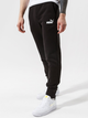 Спортивні штани чоловічі Puma Sweatpants 586714 01 XL Чорні (4063697316232) - зображення 1