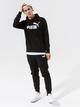 Спортивні штани чоловічі Puma Sweatpants 586714 01 L Чорні (4063697316225) - зображення 3