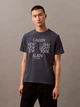 Футболка хлопковая длинная мужская Calvin Klein 326349640 M Синяя (1159819192) - изображение 1