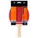 Ракетка для настольного тенниса Stiga Evolve FL (1211-8318-01) - изображение 3