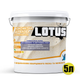 Фарба грунт з кварцовим піском та меленим мармуром LOTUS 5л - зображення 2