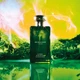 Одеколон унисекс Jo Malone Cypress & Grapevine 100 мл - изображение 3