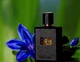 Тестер Туалетная вода для мужчин Diesel Bad 100 мл (3614273492799) - изображение 3