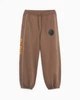Штаны Air Jordan X Psg Fleece Pants Brown DZ2949-274 L - изображение 2