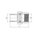 Американка ASG 3/4" PN 40 з покриттям - зображення 2