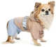Дощовик Pet Fashion Tina XS для дівчинки Бежевий з блакитним (4823082435135) - зображення 3