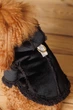 Дублянка Pet Fashion Black ХS для собак Чорна (4823082435241) - изображение 6