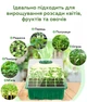 Лоток светодиодный Tray Plant для выращивания цветов/фруктов/овощей 5 шт х 12 ячеек (JDT-0845590) - изображение 4