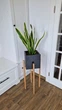Подставка для вазона, цветов из дерева высокая WoodDecor покрытая лаком - изображение 4
