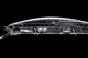 Воблер OSP Asura Varuna 110 SP 113mm 16.0g H09 (1.0-1.5m) (2659-00-23) - изображение 2