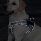 Нагрудная шлея для собак Reflective safety chest harness for pet dogs, XL Розовый - изображение 3